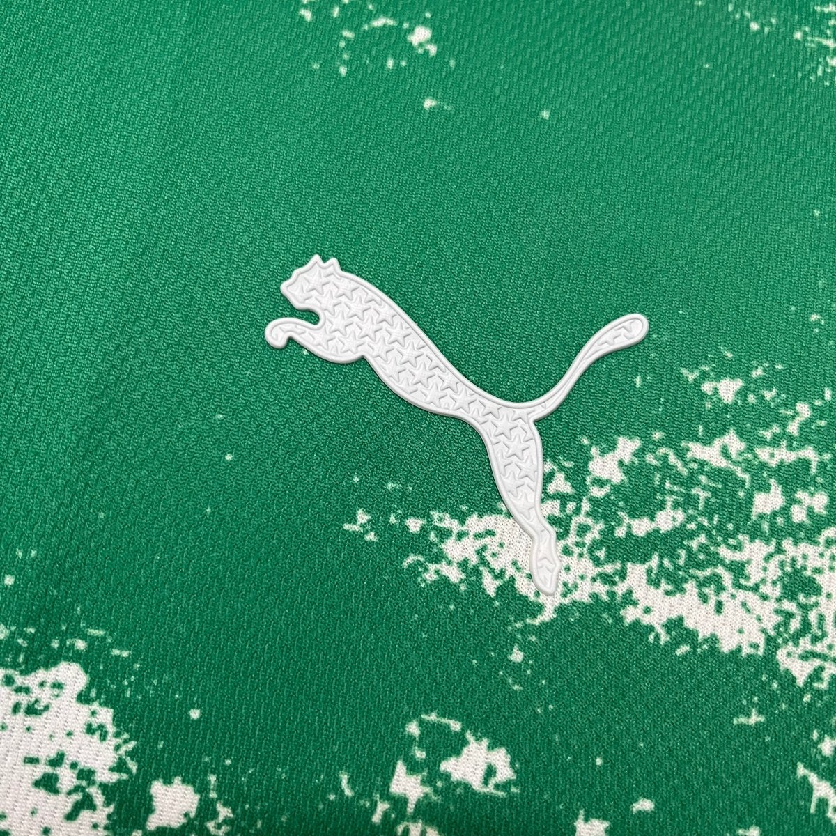 Camisa Palmeiras 24/25 - Verde e Branca