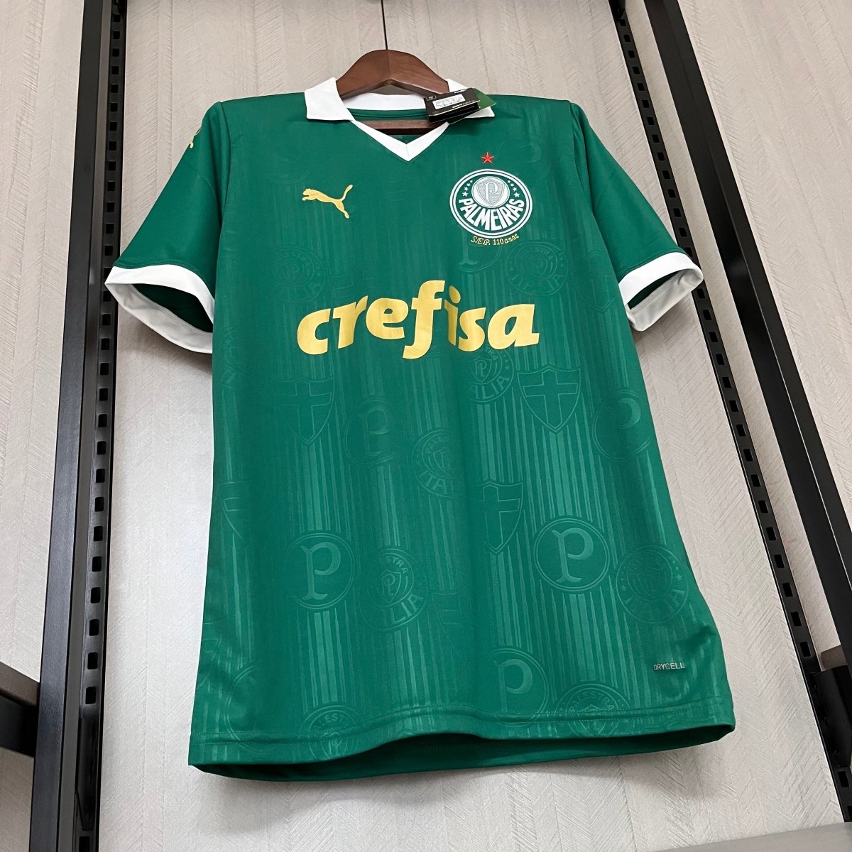 Camisa Palmeiras I 24/25 Puma