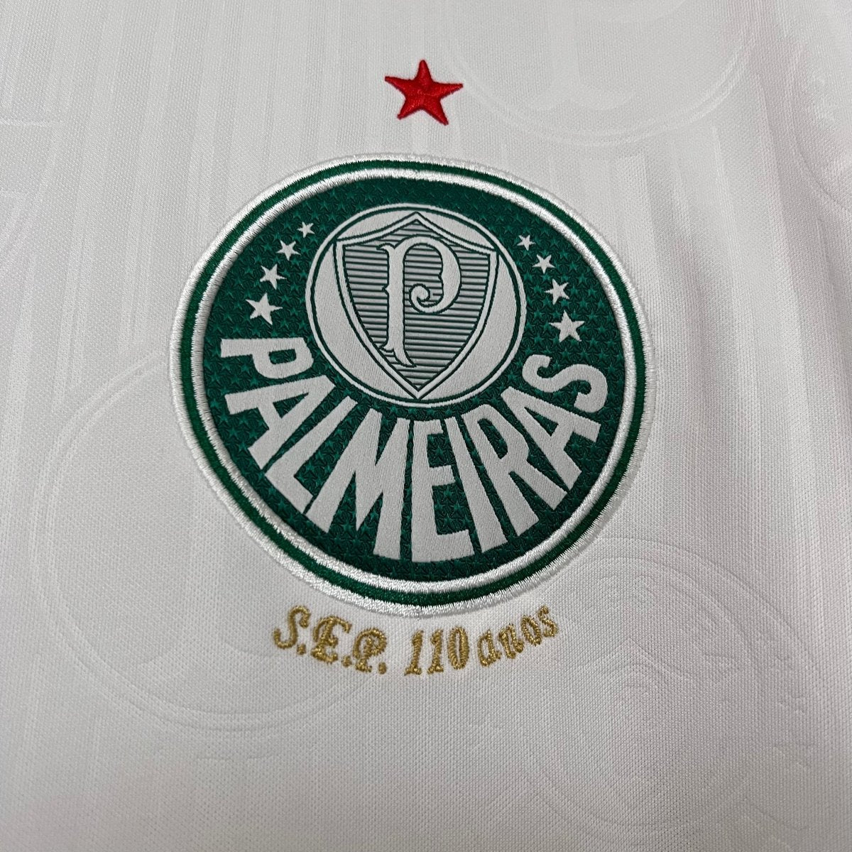 Camisa Palmeiras II 24/25 Puma