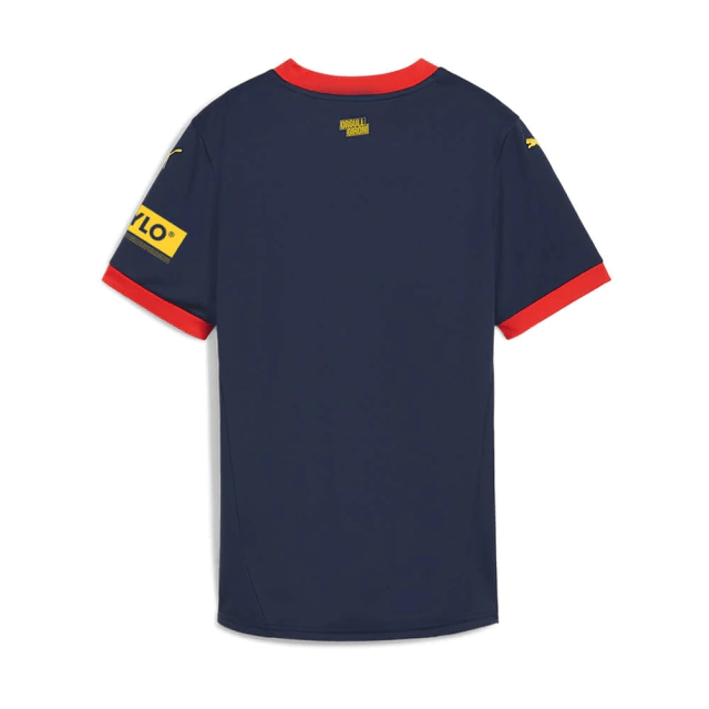 Camisa Girona II 24/25 - Masculino Torcedor - Azul