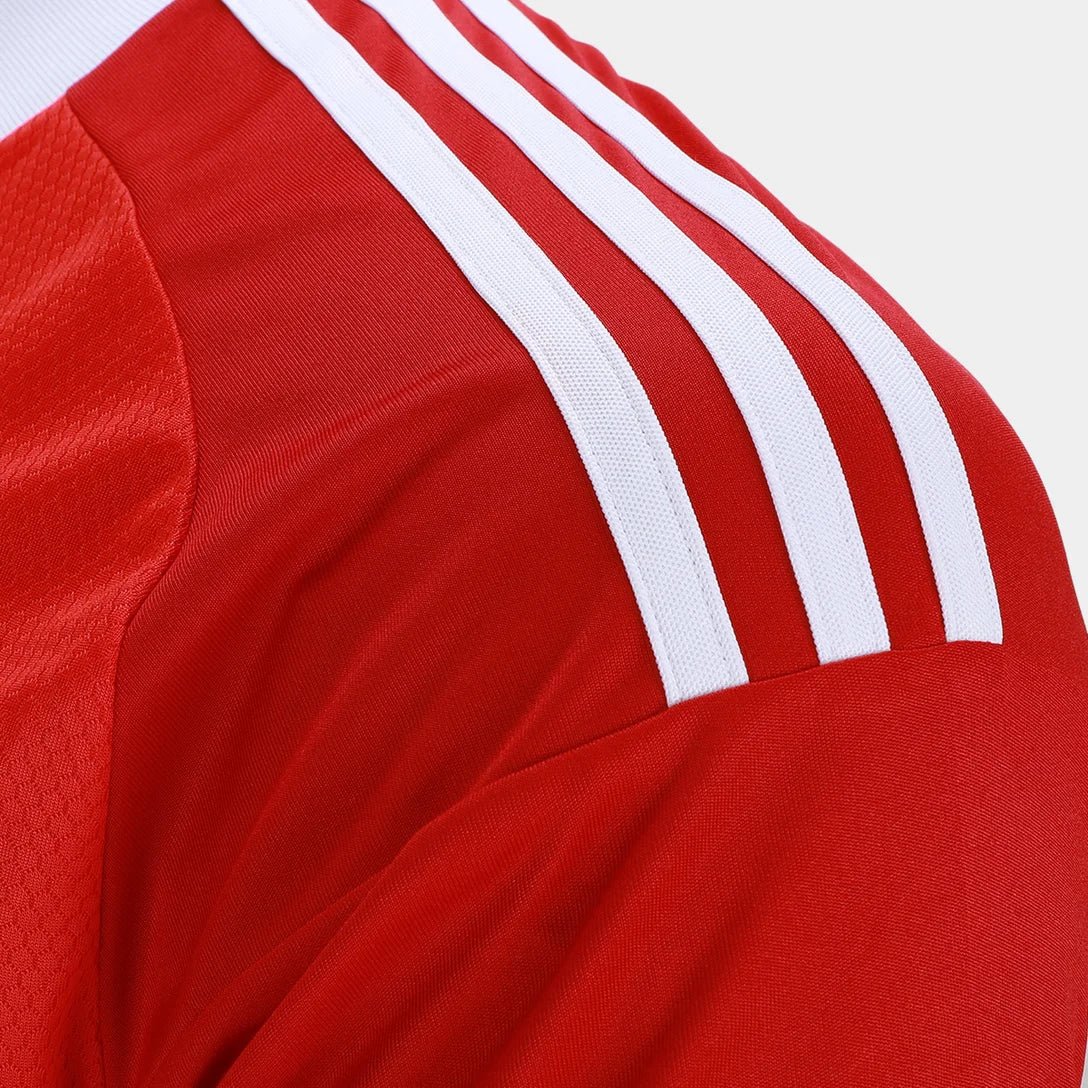 Camisa Flamengo III 2025/26 Goleiro Adidas Masculina - Vermelho