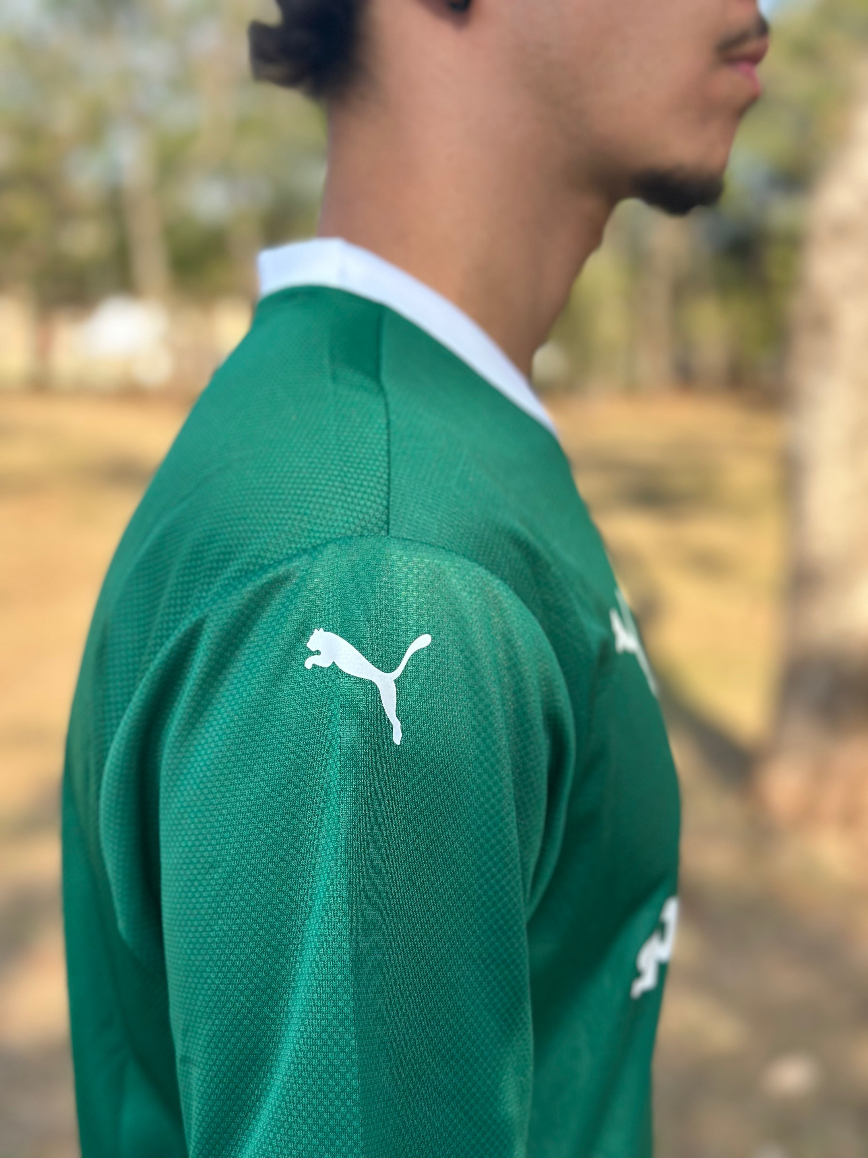 Camisa Puma Palmeiras I 2025