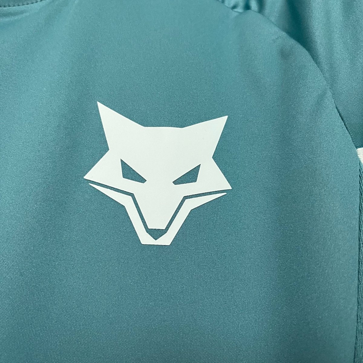 Camisa Cruzeiro 25/26 Treino Adidas - Azul Turquesa+Branco - (Feminina)