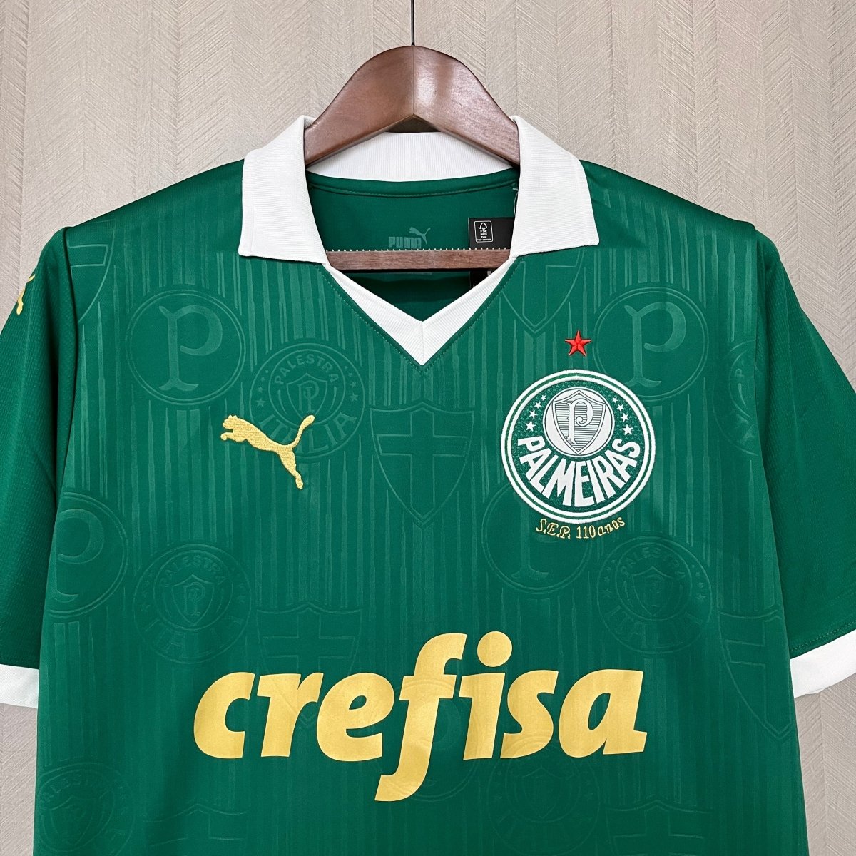 Camisa Palmeiras I 24/25 Puma